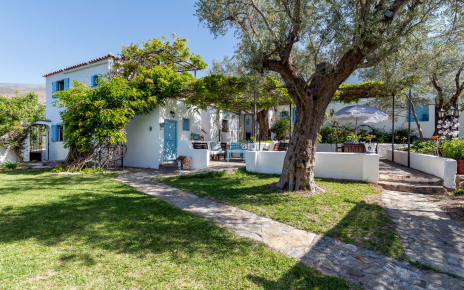 Gardens and terraces 